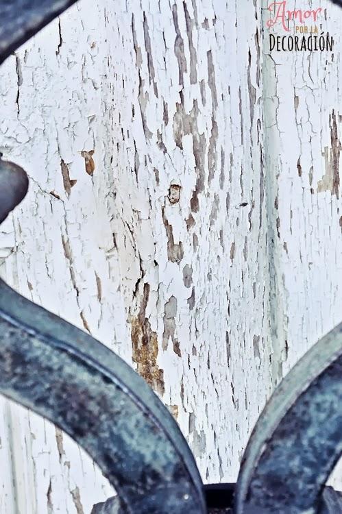 MACRO DEL DÍA: TEXTURAS