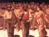 política amigo-enemigo. Revolución fraternidad