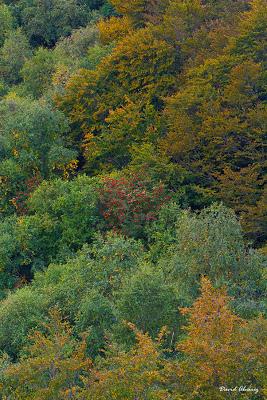 Ven, cómeme y trabaja para mi
