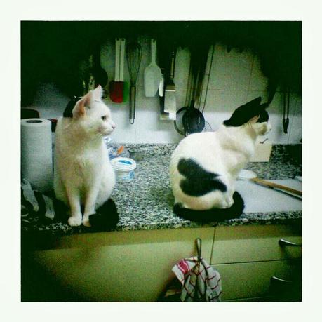 Embolados en los que se mete una... Embolados en los que se mete una...