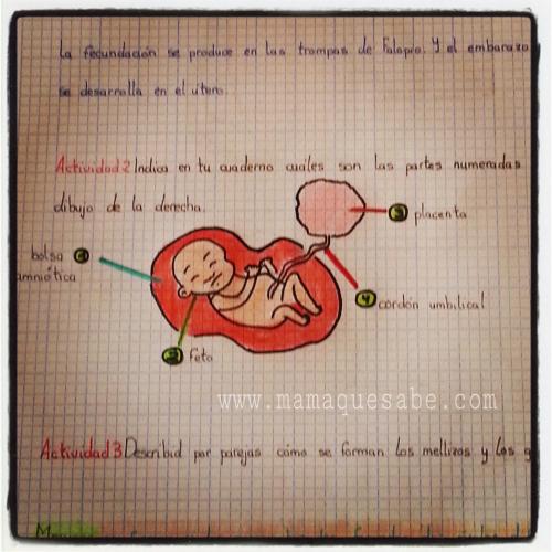 Cómo trabajar la voluntad escolar