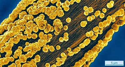 Nanotubos de carbono para sierras ultradelgadas