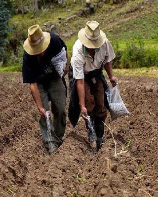 PRIMERA DAMA APLAUDE A GOBIERNOS REGIONALES QUE TRABAJAN POR EL DESARROLLO DEL AGRO…