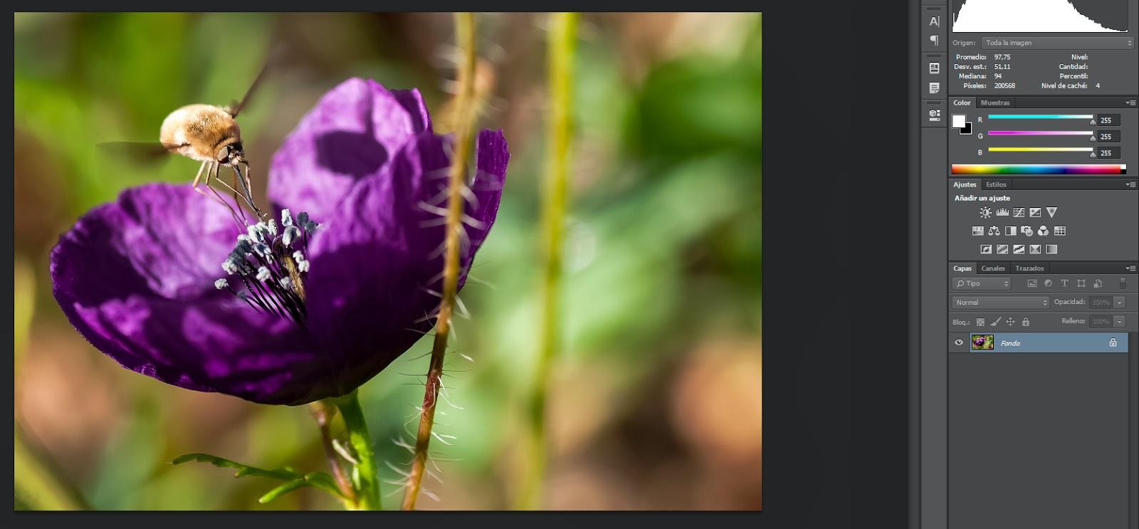 Unidad III - Trabajando con Photoshop CS6: Objetos inteligentes