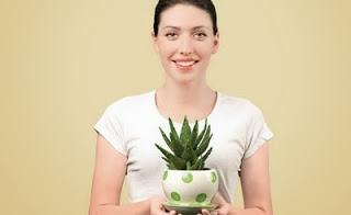 Enfermedades y Aloe Vera