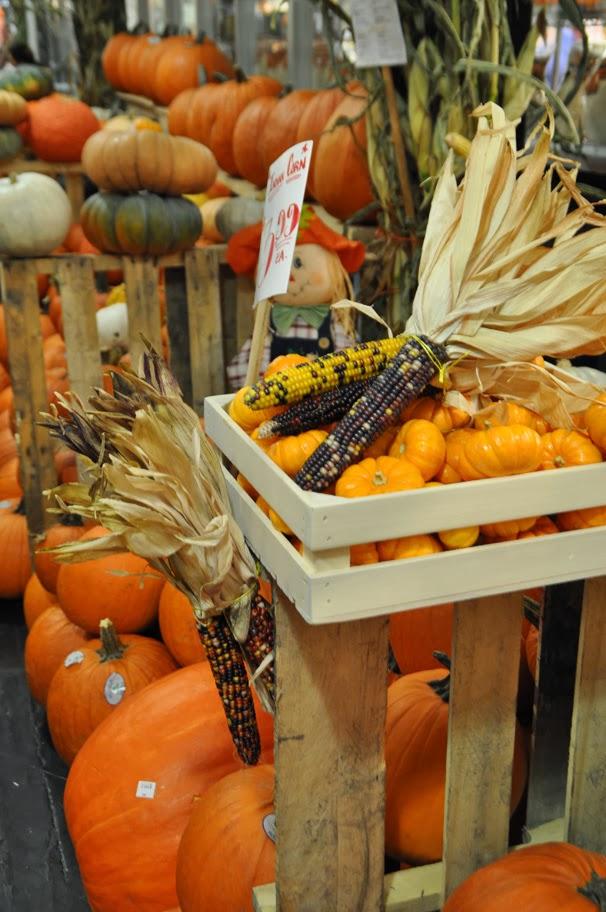 CON FALDA SKATER POR CHELSEA MARKET