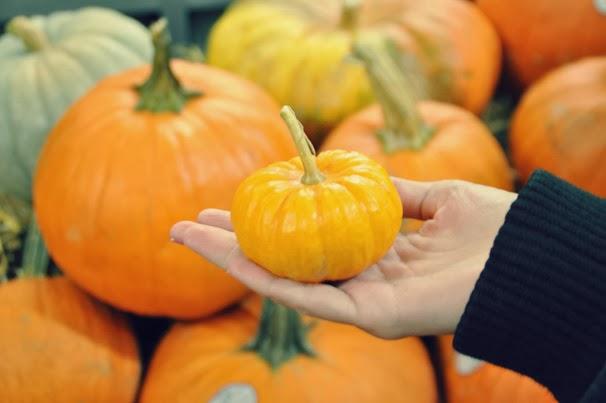 CON FALDA SKATER POR CHELSEA MARKET