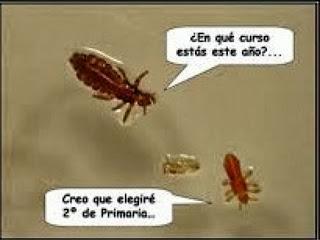 Pasajeros a bordo!!!