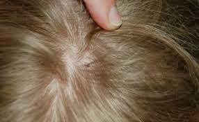 Pasajeros a bordo!!!