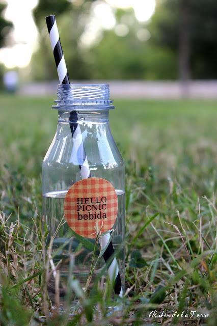 De Pic nic con Cocottó