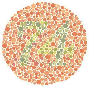 Ishihara 74-21