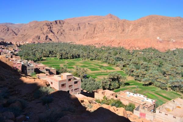 El oasis creado por Palmeral de Tinghir, que desciende del Todra