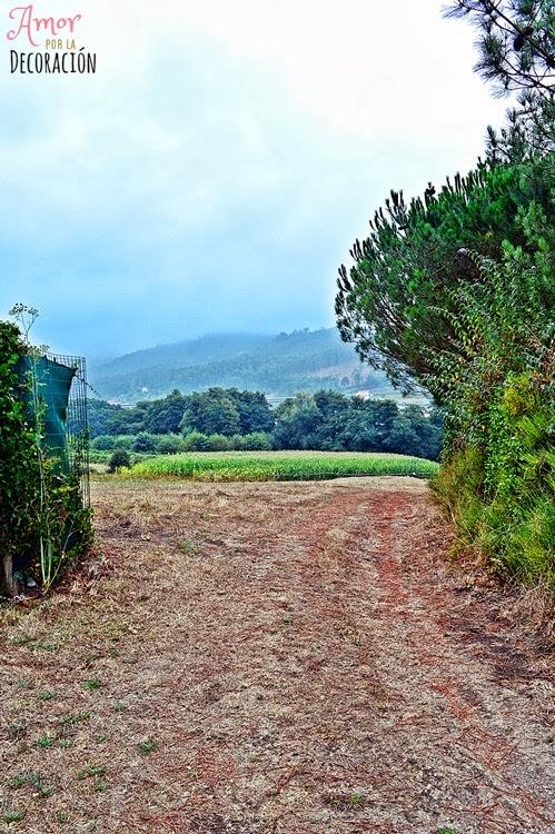 PASEOS RURALES