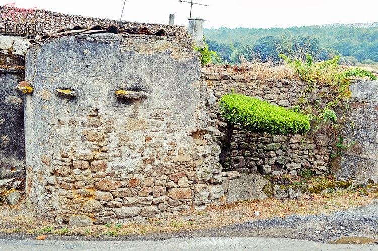 PASEOS RURALES