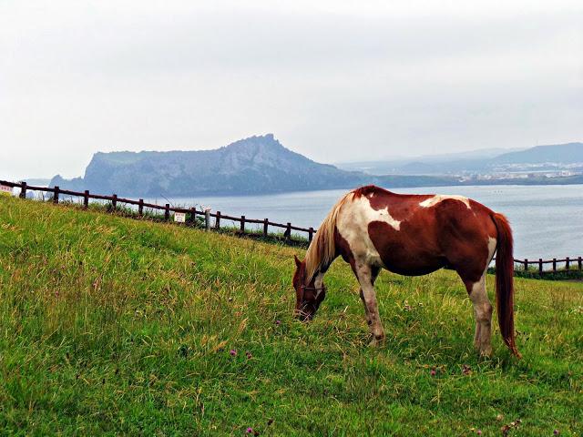 Isla de Jeju - Parte II