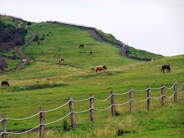 Isla de Jeju - Parte II