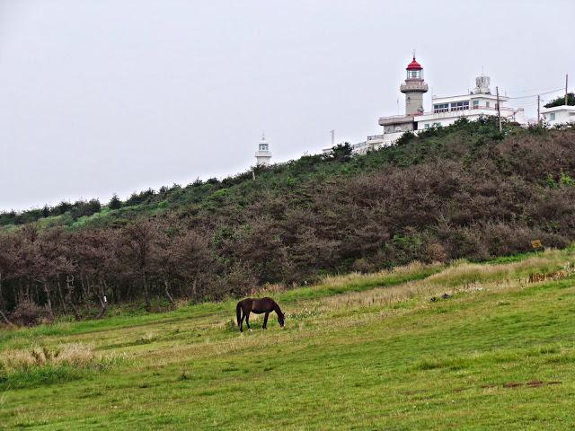 Isla de Jeju - Parte II