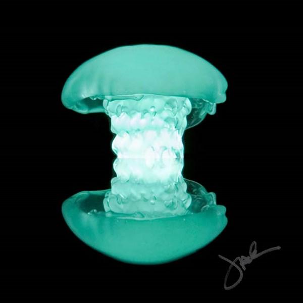 esculturas con liquidos de colores por jack long