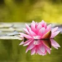 Mi pequeño gran momento