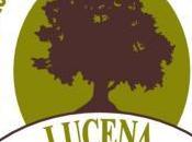 Aceite Lucena, entre menciones calidad andaluzas reconocidas nivel europeo