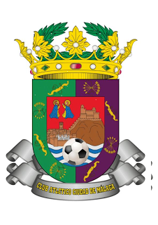 MI NUEVO PROYECTO. SELECCIONADOR DE MALAGA