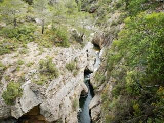 Cadolles fondes. Ulldemolins