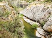 Cadolles fondes. Ulldemolins