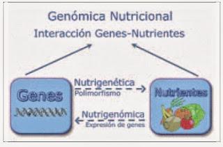 Nutrición molecular