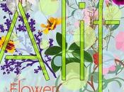 Descubriendo ALIF Flower Essence Spa.