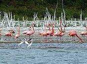 LAGO ENRIQUILLOOTRA NEYBAWilson acosta SosaEn Neyba s...