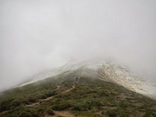 Ascención al Bisaurín desde el refugio de Gabardito (2.668 metros)