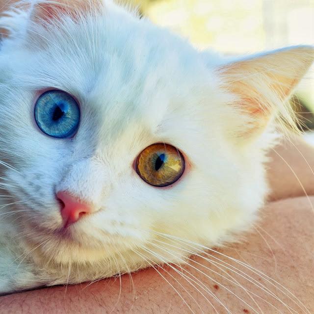 Bye Week! 13/October