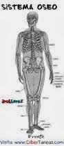 La Sabila y el Sistema Oseo