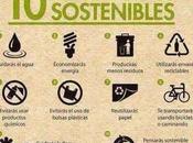 diez mandamientos sostenibles