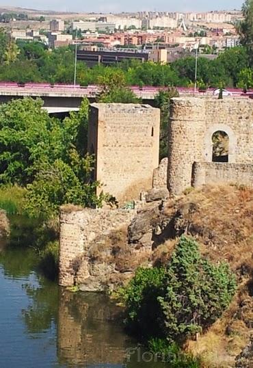 Leyenda toledana, la esposa del alarife y el puente de San Martín