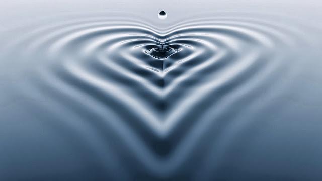 LA NATURALEZA DE LA COMPASIÓN