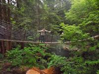 Vancouver: Puente Capilano y Grouse Mountain