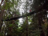 Vancouver: Puente Capilano y Grouse Mountain