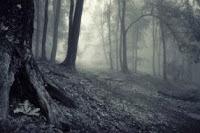 La mujer de púrpura - Jeanette Winterson