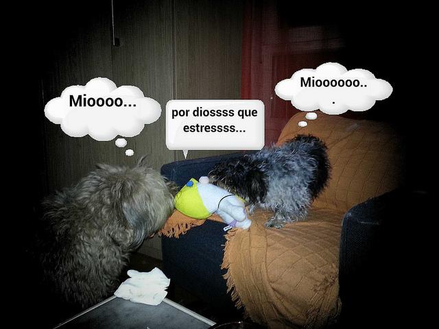 estamos tan agustito