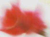 [Apuesta Telúrica] Malka Mírame