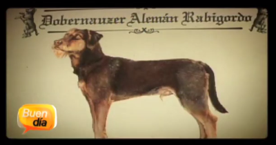 Captura de pantalla 2013 10 14 a la s 08 38 11