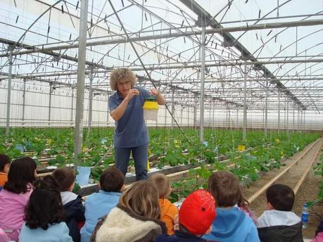 Sostenibilidad a Medida - Agricultura bajo plástico y sostenibilidad