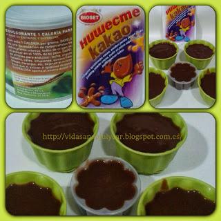 Puding de chocolate light