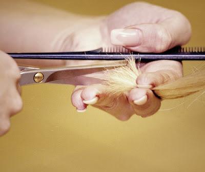 CABELLO SECO Y MALTRATADO