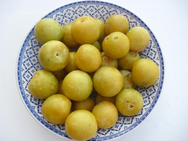 LA ACTIVIDAD EN EL HUERTO EN JUNIO 2013