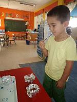 EL GUSTO Y EL TACTO EL GUSTO Y EL TACTO