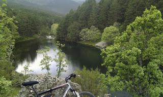 Reseña: La ciudad de la luna eterna (El bosque  #3), Esther Sanz