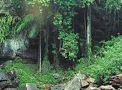 Adaptación extinción