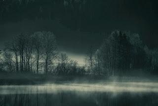 Bosque en Suecia, forest Sweden